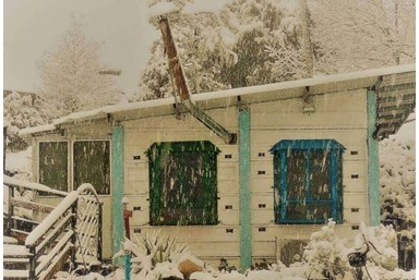 בקתות עץ שיא-הר - בחצר שלנו