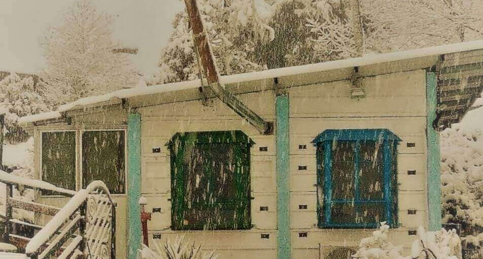 בקתות עץ שיא-הר שלג ראשון 2020בנמרוד.jpg