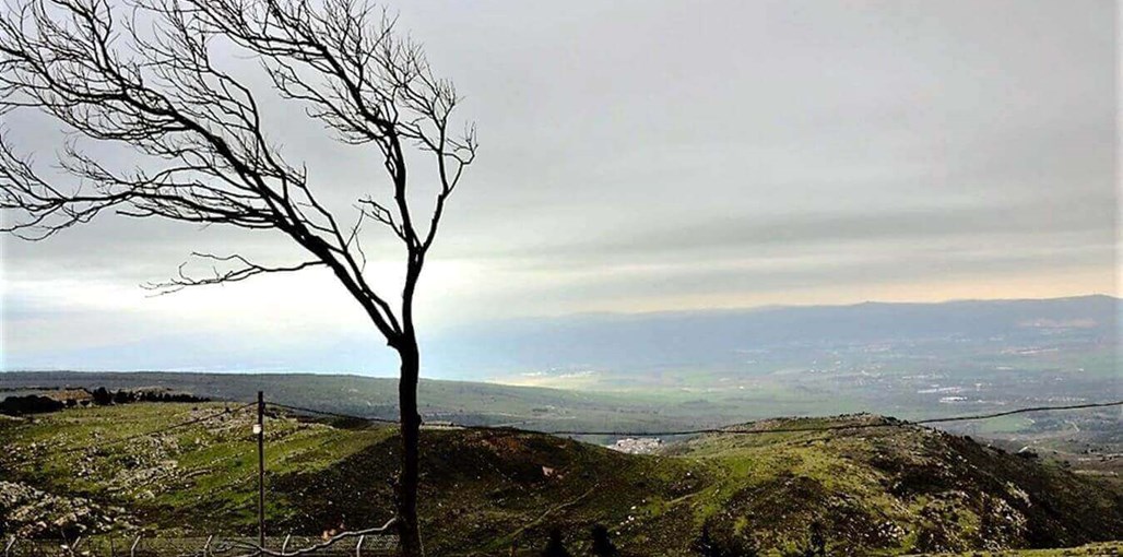 בקתות עץ שיא-הר נוף (1).jpg