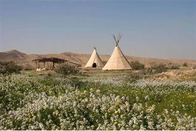 חוות זית המדבר - כפר אינדיאני