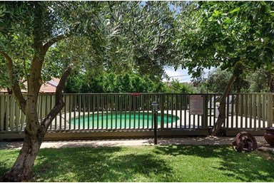 צליל בגליל - החצר והבריכה