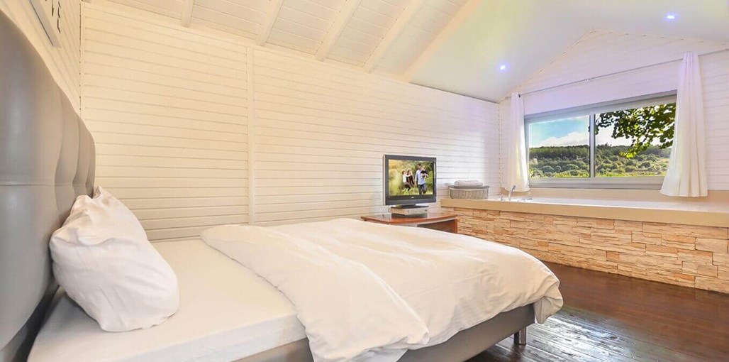 בצל האלון חופש.jpeg