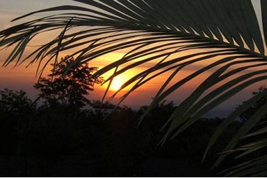 בקתה בגבעה - בקתות העץ