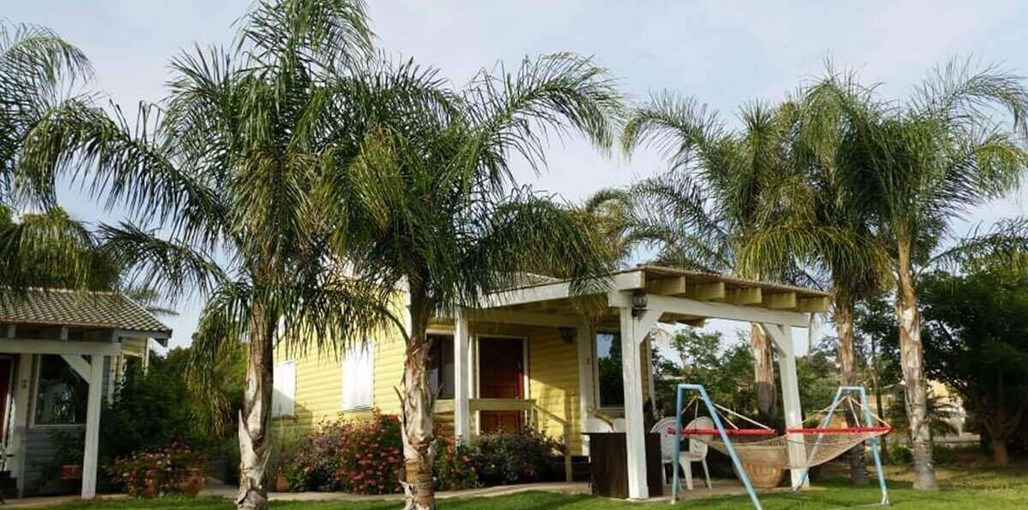 בקתה בגבעה החצר והבריכה (4).jpg