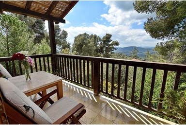 צימרים ביער - החצר והסביבה