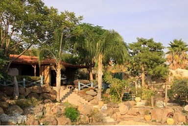 אלאדין - בקתות ומערות - בקתות העץ