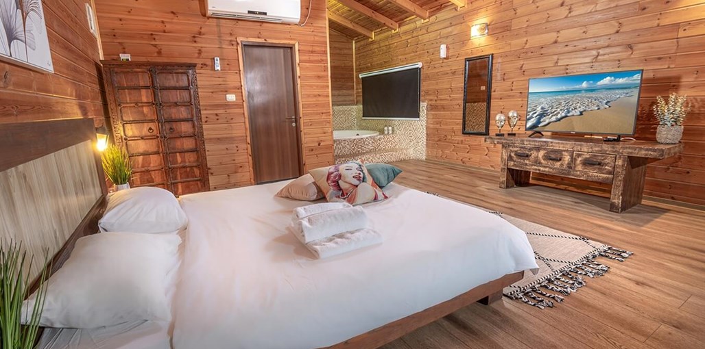 בצל הגלבוע נטע וחצב (8).jpg