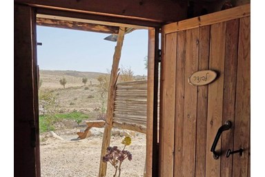 חוות מתנת מדבר - הבריכה ומתחם החוץ