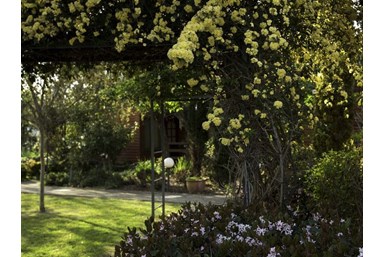 ארומנטיקה - החצר והסביבה