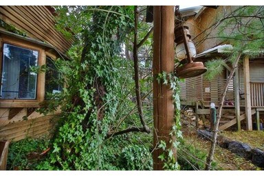 בקתות בערפל - הראשונה