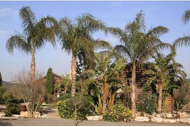 סוויטות אוויר הרים - החצר והבריכה