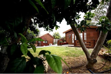 מקום בטבע - החצר והנוף