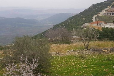 בקתות עץ בין העננים - המסעדה 