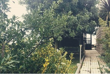 בקתות עץ בין העננים - המסעדה 