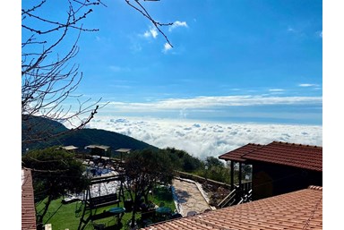 בקתות עץ בין העננים - הבריכה והנוף