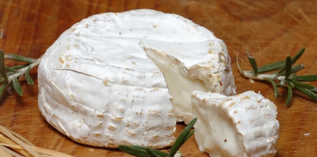 חוות נאות גבינות (1).jpg