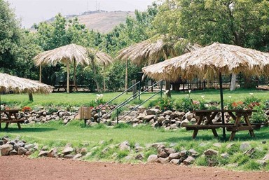 בקתות עץ -תיירות עין זיוון