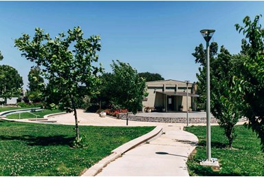 בקתות עץ -תיירות עין זיוון