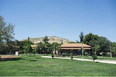 בקתות עץ -תיירות עין זיוון