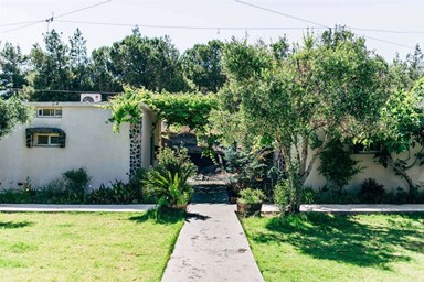 בקתות עץ -תיירות עין זיוון