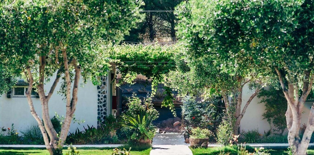 תיירות עין זיוון חאנים (5).jpg