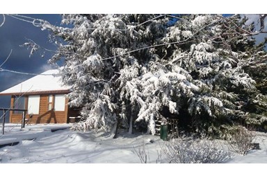 רום 1125 - בקתות עץ