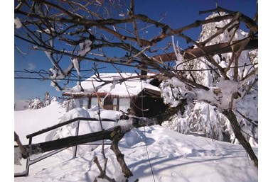 רום 1125 - בקתות עץ