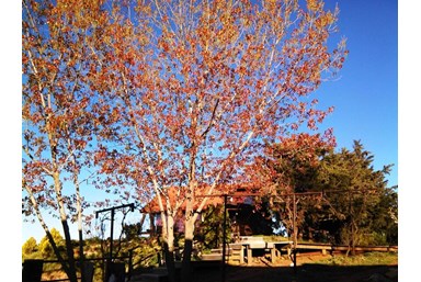 רום 1125 - הנוף והבריכה