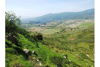 רום 1125 - הנוף והבריכה