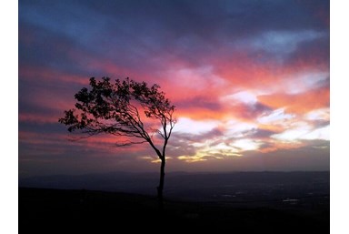 רום 1125 - הנוף והבריכה