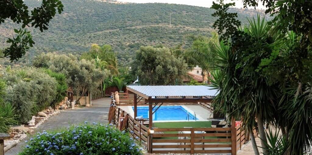 אהבה בטבע חצר ובריכה (5).jpg