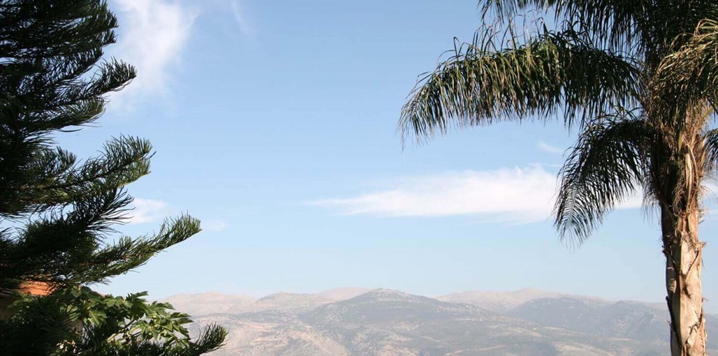 בקתות בצל המכנף החצר והנוף (25).JPG