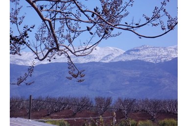 בקתות בצל המכנף