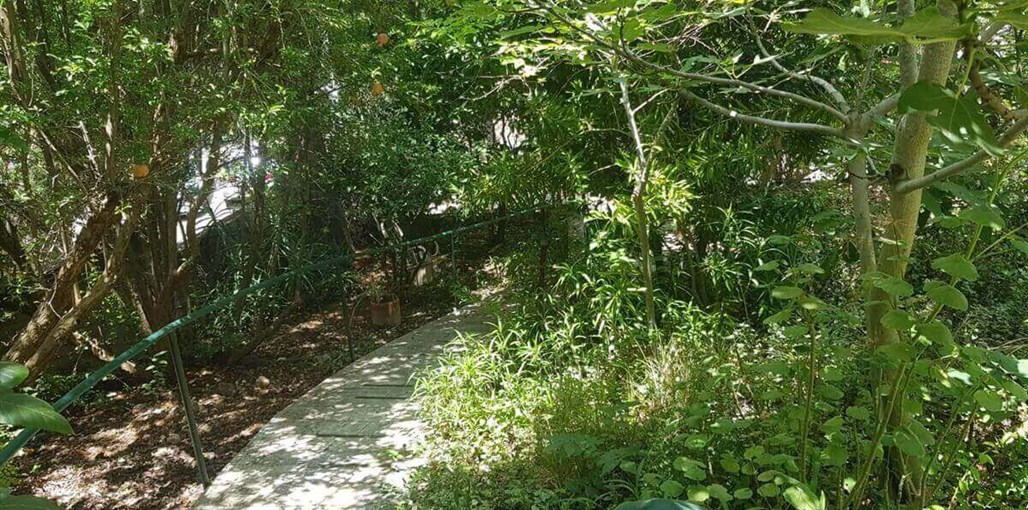 מעלה הרימון חדש (2).jpeg