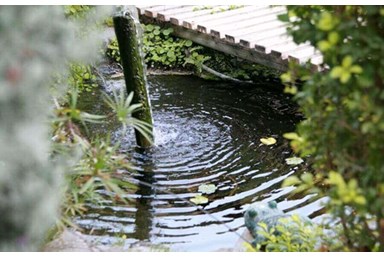 ראקויה - צימרים יפניים - הגנים