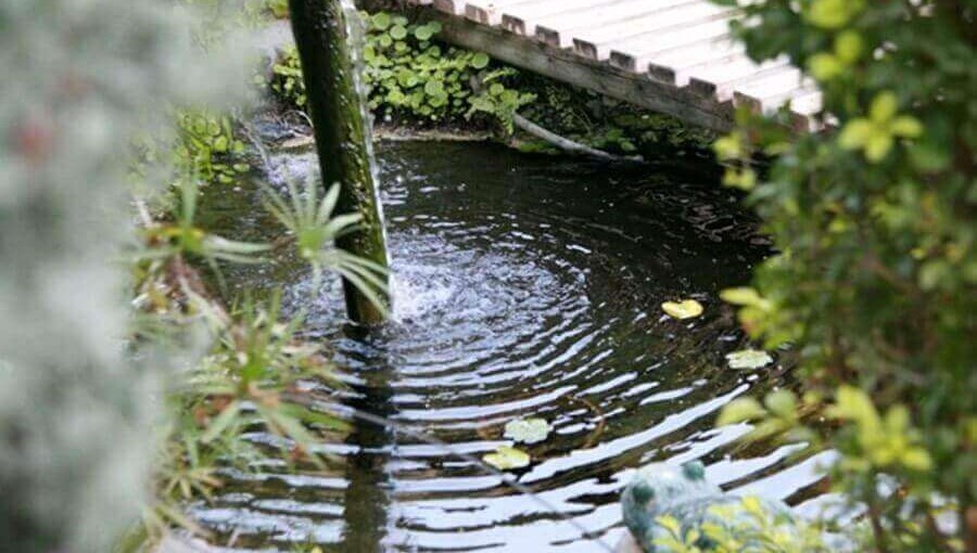 ראקויה - צימרים יפניים הגנים (56).jpg