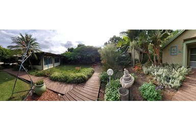 מעוף הציפור 