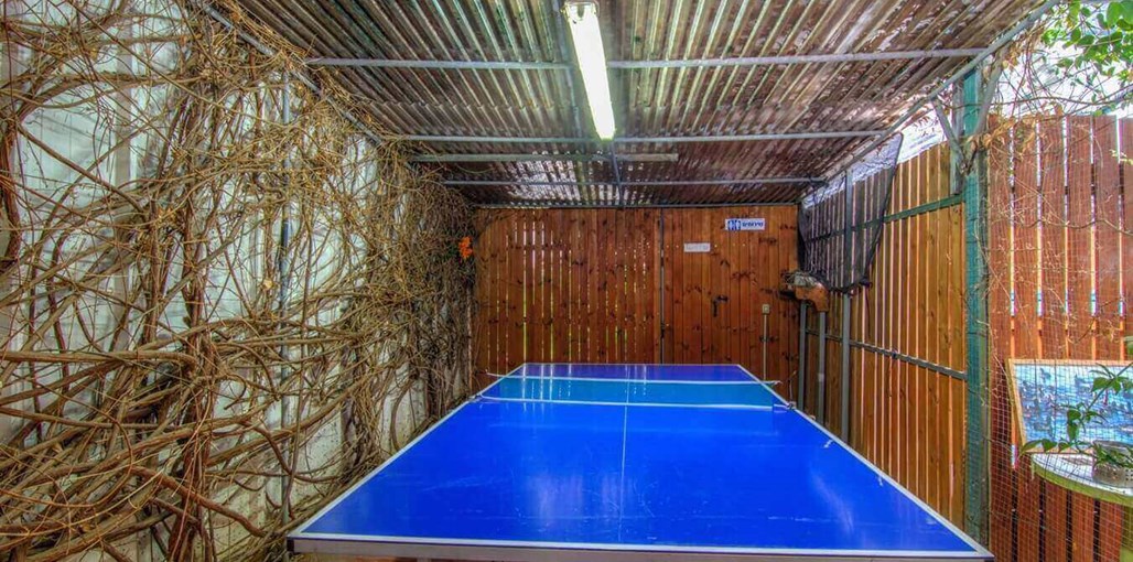 מעוף הציפור החצר (12).JPG