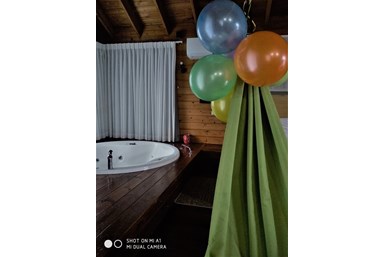 מעוף הציפור 