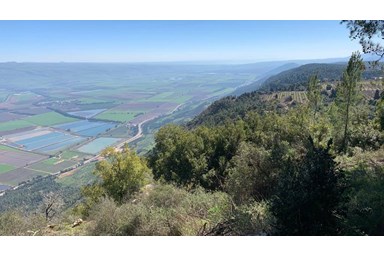 צימרים וילה במצוק - החצר  והסביבה