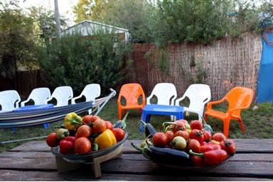 שלווה במדבר - הצימרים