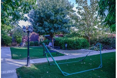 סהרה - צימרים בערבה - חצר פסטורלית