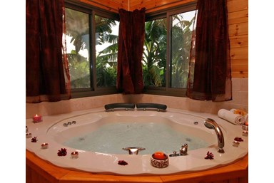 צליל השלווה - בקתות העץ