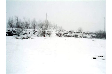 אימאר צימרים ואירוח דרוזי - בחצר