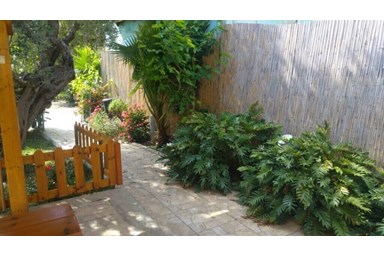 חלום בכפר - משפחתית באלס