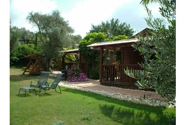 חלום בכפר - החצר