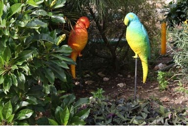 חלום בכפר - החצר