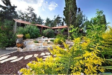 מרום הכרמל - בקרבת מקום