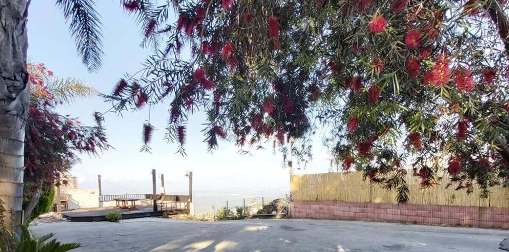 מרום הכרמל מרום הכרמל (2).jpeg