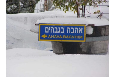 אהבה בגבהים 